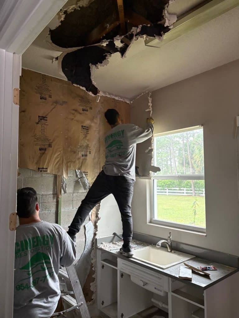 Do You Need a Professional for Mold Removal and Remediation? - Cinergy Restoration