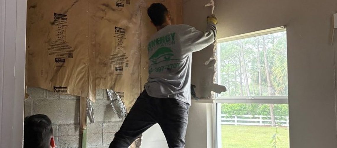 Do You Need a Professional for Mold Removal and Remediation? - Cinergy Restoration